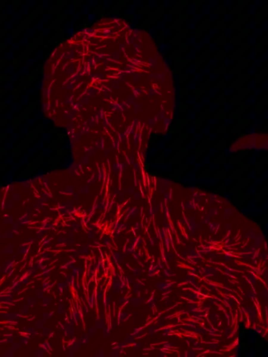 Flowers Disappear by Arturo Gui, red figure dissolving into generative image